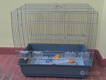 gabbia per uccellini