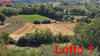 N. 2 Terreni agricoli ISOLA GRAN SASSO Frisoni