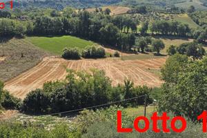 N. 2 Terreni agricoli ISOLA GRAN SASSO Frisoni