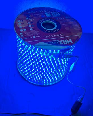 striscia LED 100 mt  Blu  professionale  resist