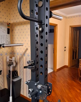 Power Arms Lacertosus 2.0