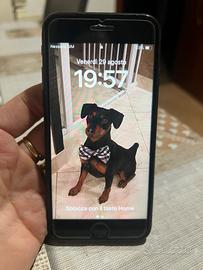 Iphone Se 2020 128Gb