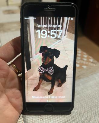 Iphone Se 2020 128Gb