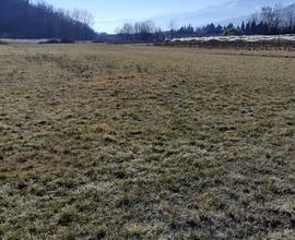 Terreno agricolo pianeggiante a Pinerolo