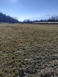 Terreno agricolo pianeggiante a Pinerolo