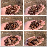 Corteccia di pino portoghese bark