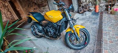 Honda CB 600F Hornet Incidentata
