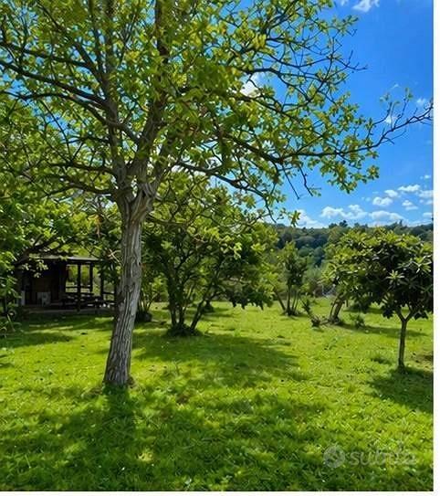 Rustico / Casale di 40 m² con 1 locale a Tuscania - Vista 5