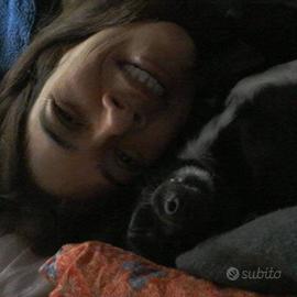 Dog Sitter