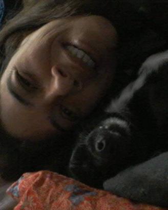 Dog Sitter