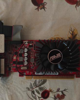 Scheda video AMD Radeon R7 240 2GB
