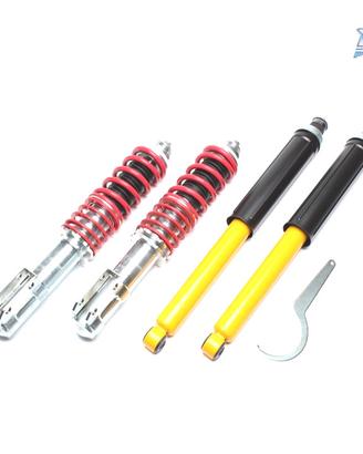 SOSPENSIONE FILETTATA TA TECHNIX RENAULT R19, R19 