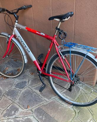 Bicicletta Uomo Esperia 28" | Shimano 6v
