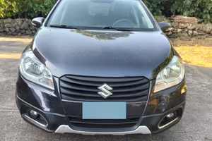 Suzuki s cross