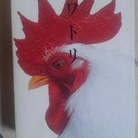 Libro pittura foto Giappone Takaoka Kuru NIWATORI