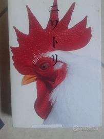 Libro pittura foto Giappone Takaoka Kuru NIWATORI