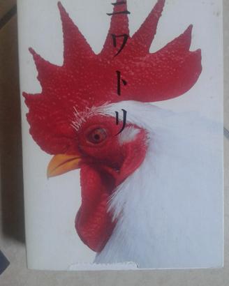 Libro pittura foto Giappone Takaoka Kuru NIWATORI