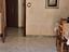 Immagine 15