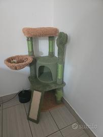 tiragraffi gatto