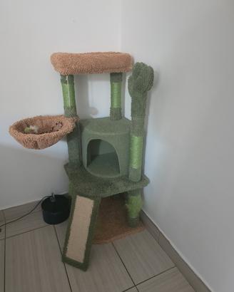 tiragraffi gatto