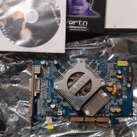 PNY Nvidia Geforce 6600 AGP
