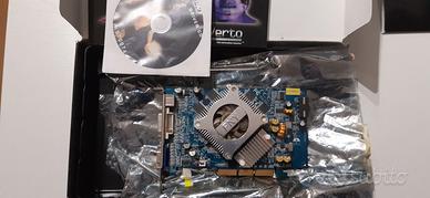PNY Nvidia Geforce 6600 AGP
