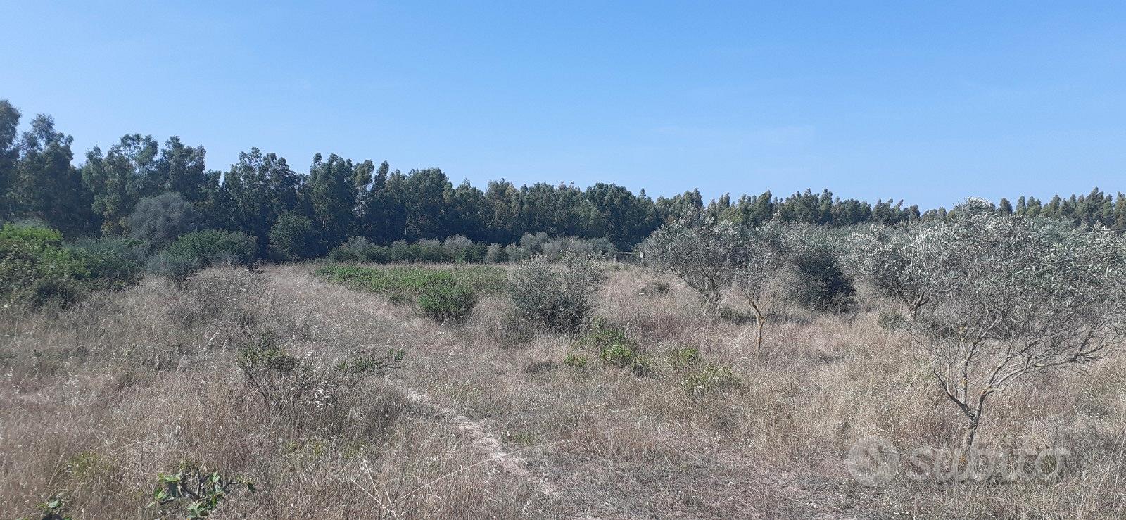Terreno agricolo - Vista 4