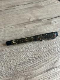 Penna stilografica Watermans Ideal Regus