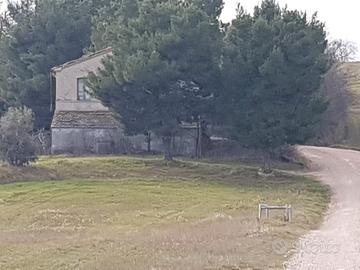 Rudere e terreni agricoli a San lorenzo (PU)