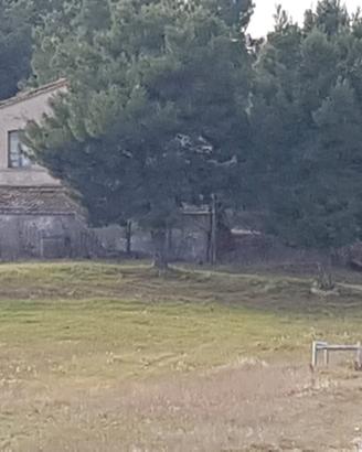 Rudere e terreni agricoli a San lorenzo (PU)