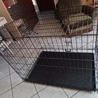 Kennel xxl poco trattabile