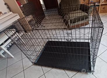 Kennel xxl poco trattabile