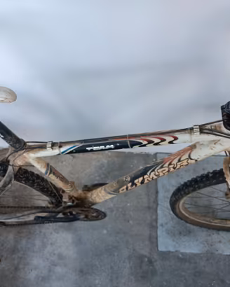Bici MTB
