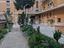 Immagine 13
