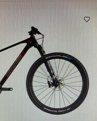 CANNONDALE SCALPEL  2024 