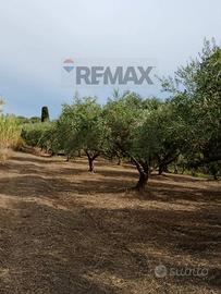 Terreno - Barcellona Pozzo di Gotto