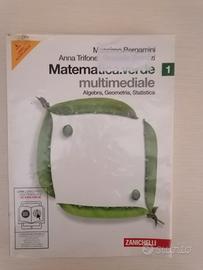 Matematica. verde vol1