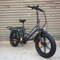 G-FORCE DE-S Bici elettrica FAT cargo 750W 45Ah