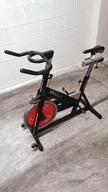 Spin bike professionale 