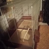 gabbia grande per animali