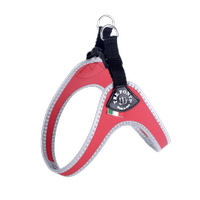 Pettorina TRE PONTI per cani taglia 2 peso 4-5 kg