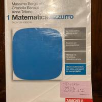 Matematica azzurro 1