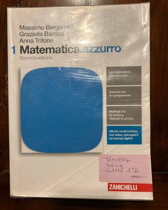 Matematica azzurro 1