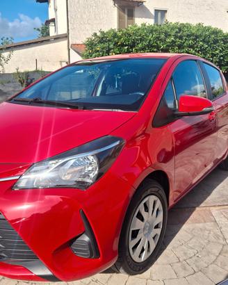 Toyota Yaris 1.0 5 porte Business neopatentati
