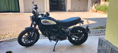 Ducati scrambler 800