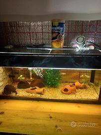 acquario  completo 