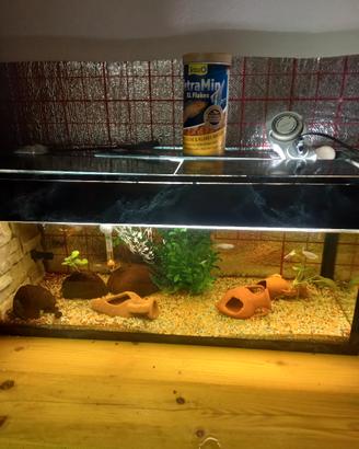 acquario  completo 