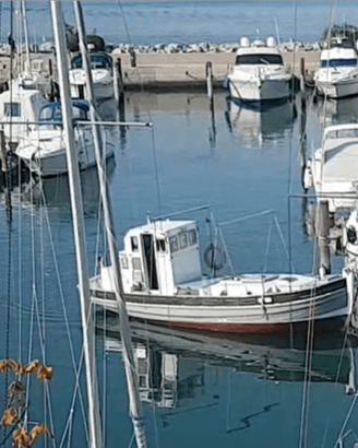 Barca a motore 8m