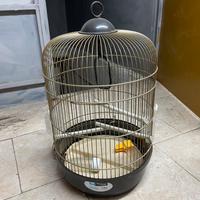 Gabbia uccelli