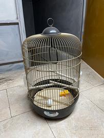 Gabbia uccelli